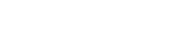 Shopify Partner